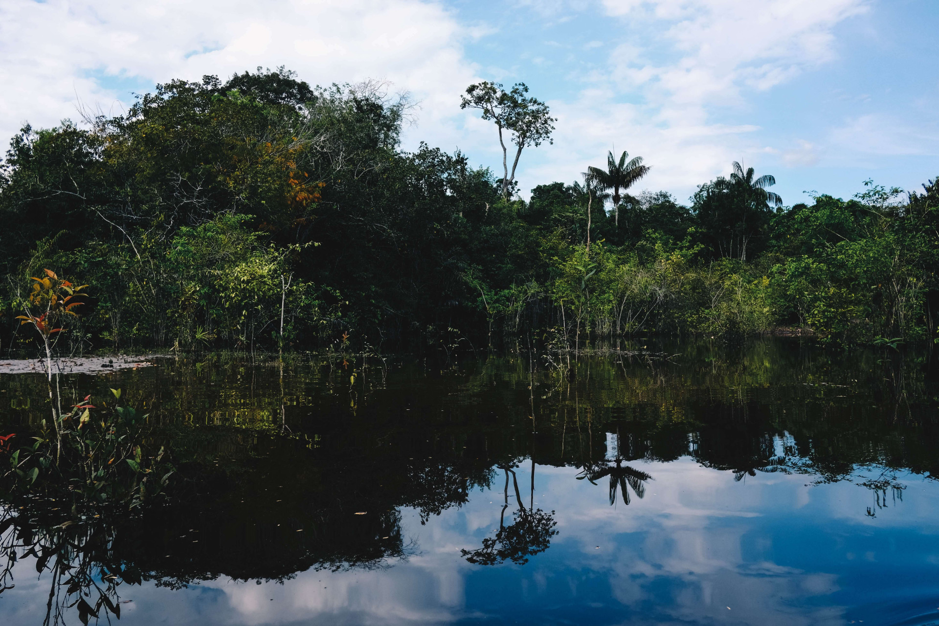 Cidade de Manaus é um dos destinos brasileiros mais culturais e lindos, podemos provar (Imagens: Unsplash)