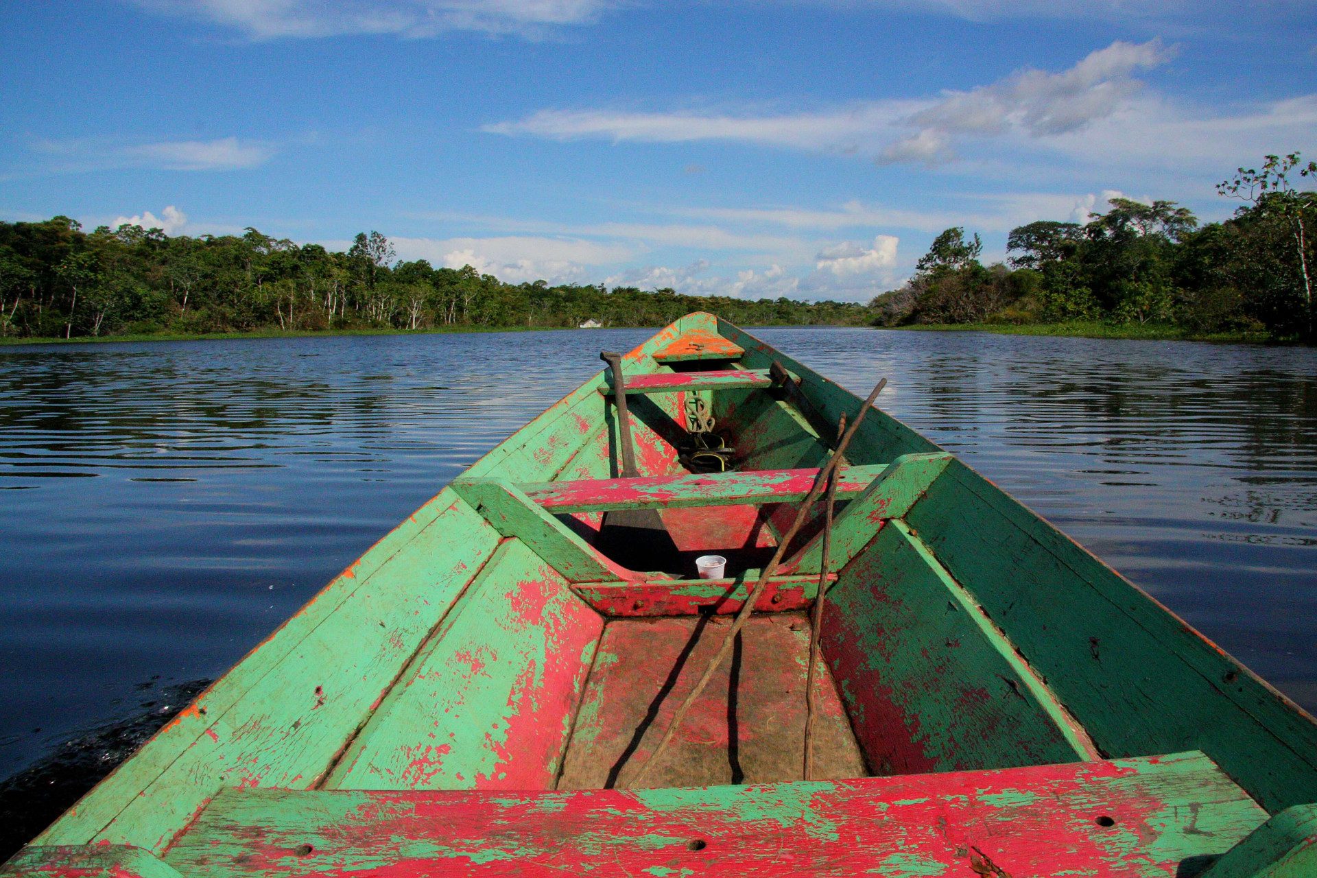 Cidade de Manaus é um dos destinos brasileiros mais culturais e lindos, podemos provar (Imagens: Unsplash)