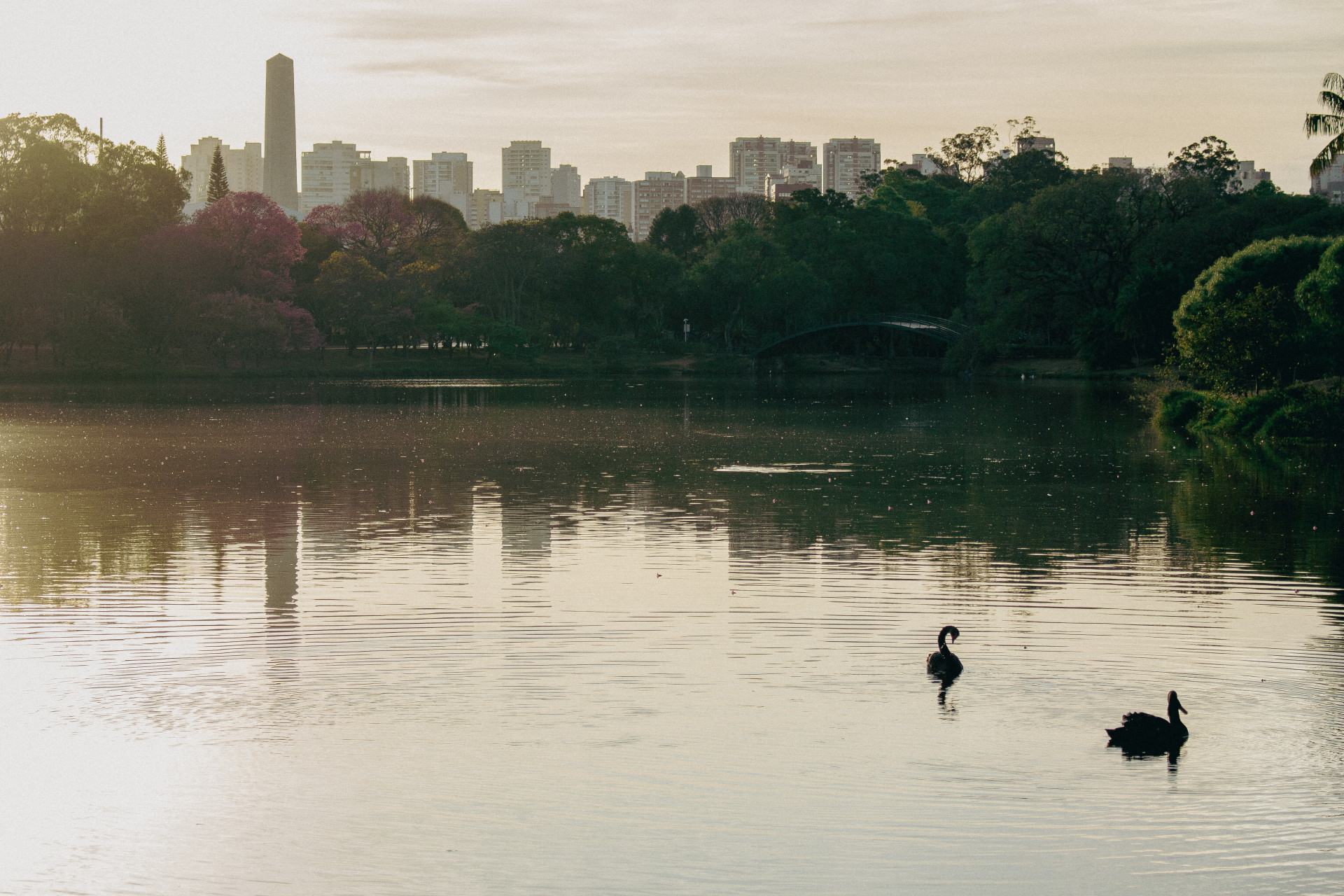 Bairrozinho de SP é um lugar bonito demais e que implora por sua visita em 2023 (Imagens: Unsplash)