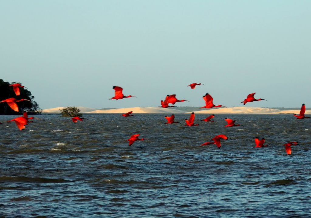 Essa cidade do Piauí tem o litoral mais lindo do Brasil e você precisa visitar (Imagens: Reprodução/ Agência Barra Grande)