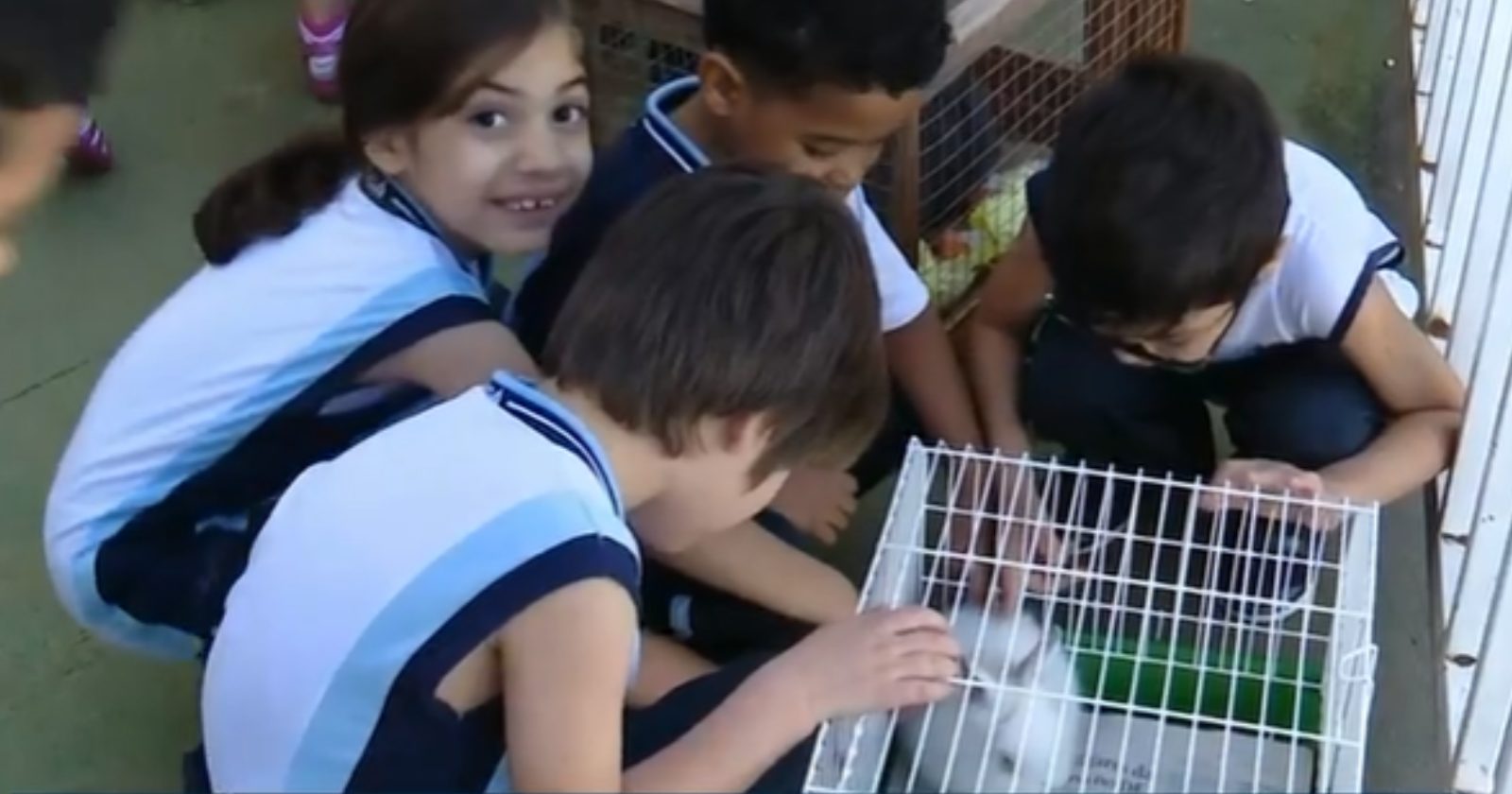 Projeto faz maior sucesso ao levar animais diferentões para escolas de rede municipal