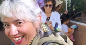 Beija-flor confunde cabelo de turista com uma flor e tenta dar um “beijinho” no penteado diferente