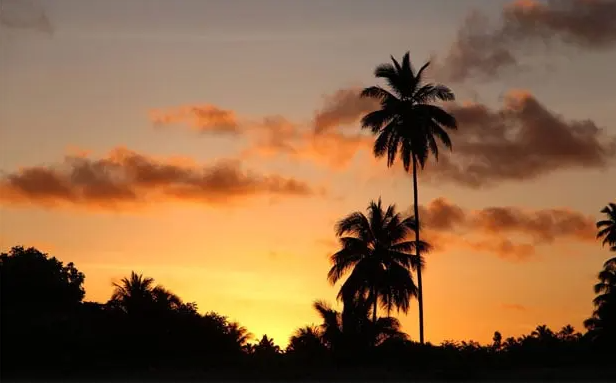 Praia de Maragogi é o destino pra você ir descansar no próximo final de semana (Imagens: Reprodução/ Pousada Ponta do Mangue)