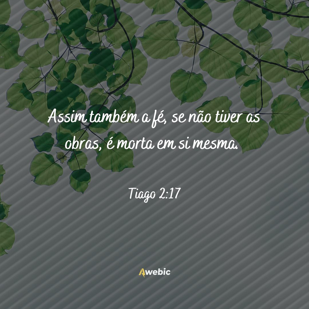 versículos de fé para se aproximar ainda mais de Deus e renovar suas forças