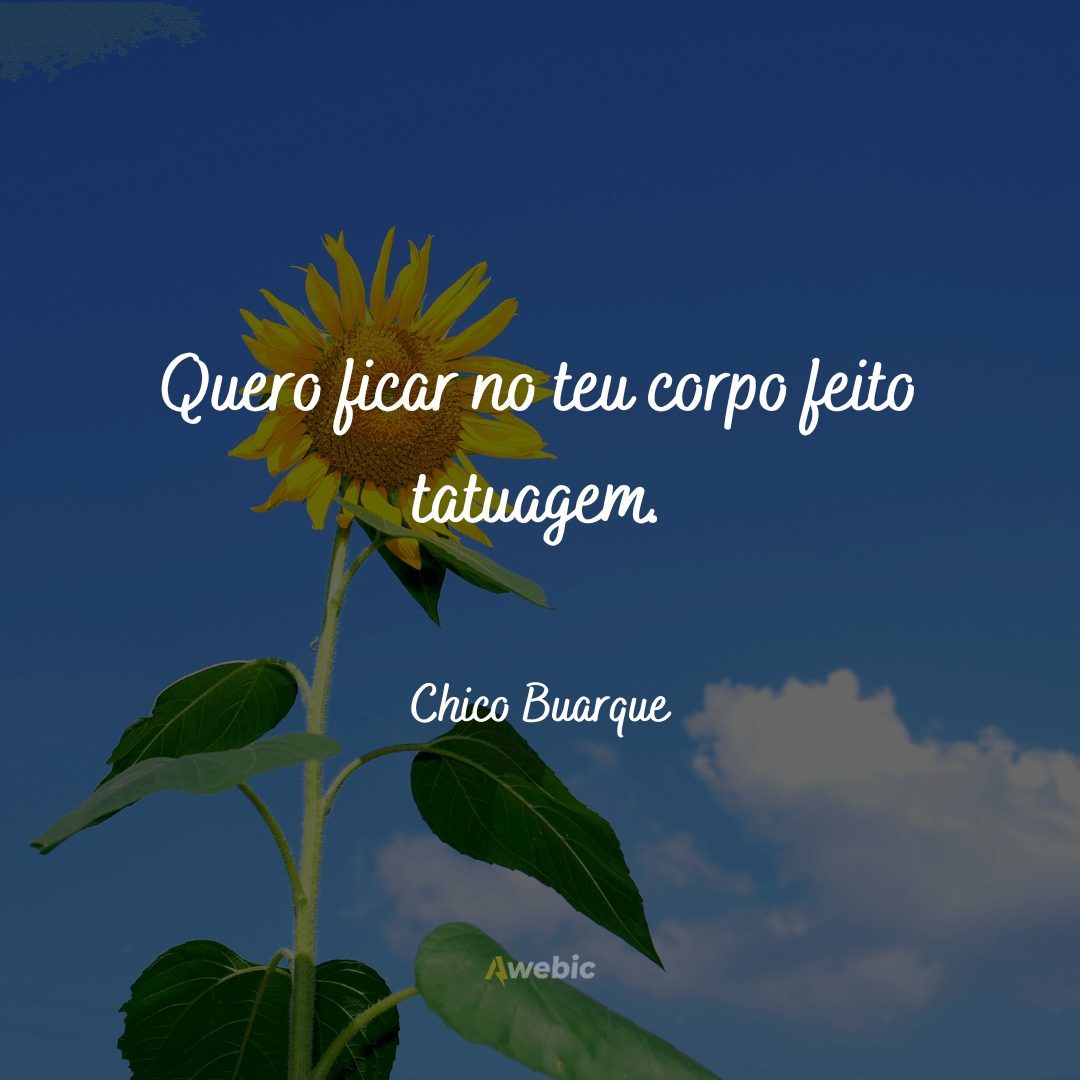 Frases do Chico Buarque