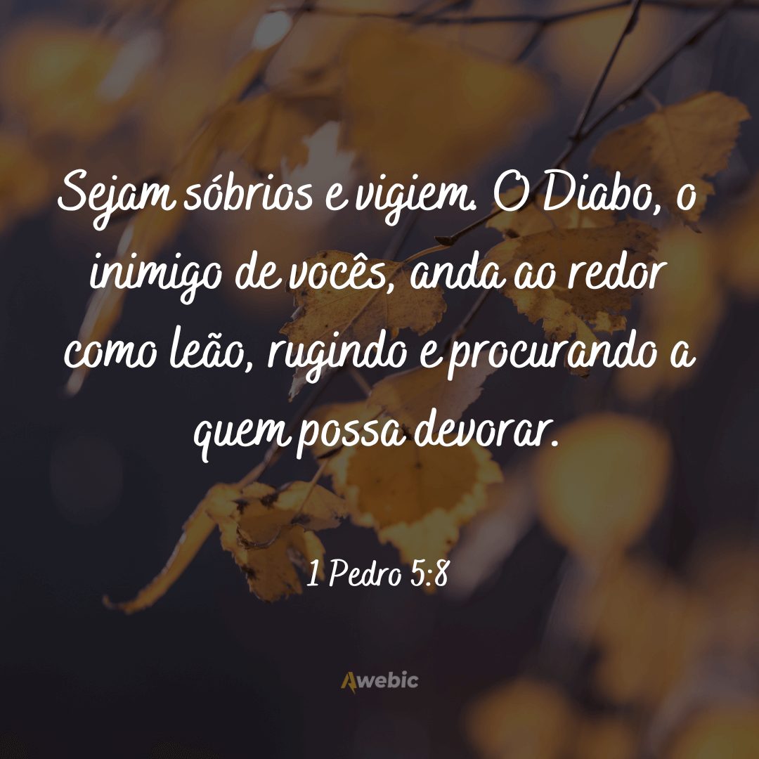 Frases de São Pedro