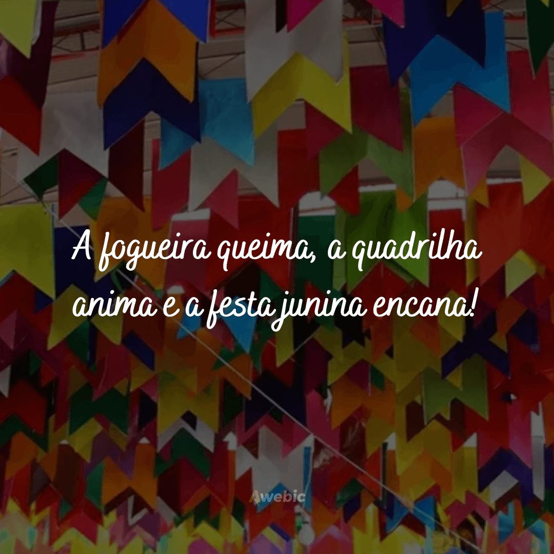 Frases de festa julina