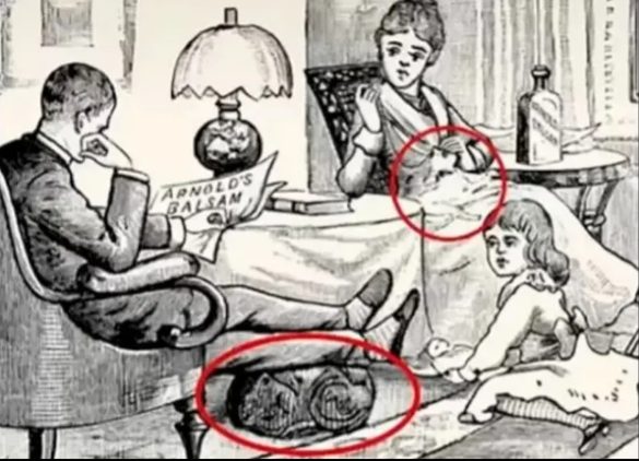 Os gatos sumiram! Ajude essa família a encontrá-los na ilustração o quanto antes