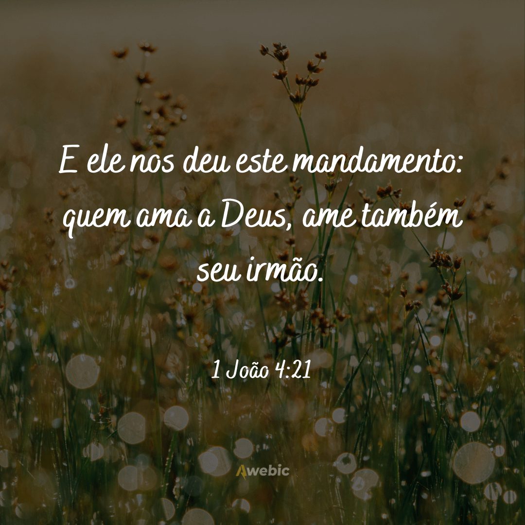 frases-biblicas-para-mandar-no-dia-dos-avos