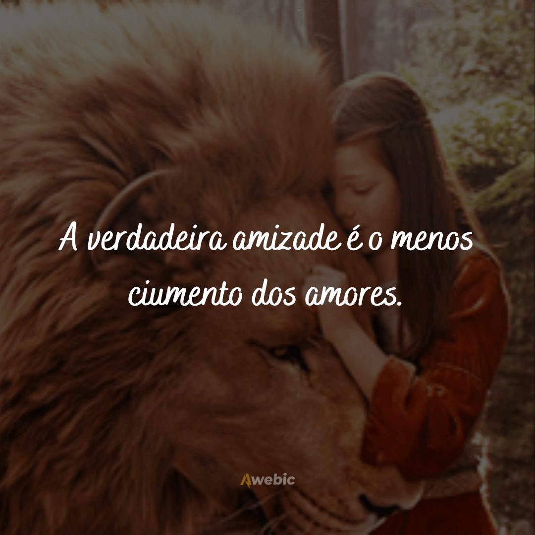 frases-de-as-cronicas-de-narnia-sobre-amizade