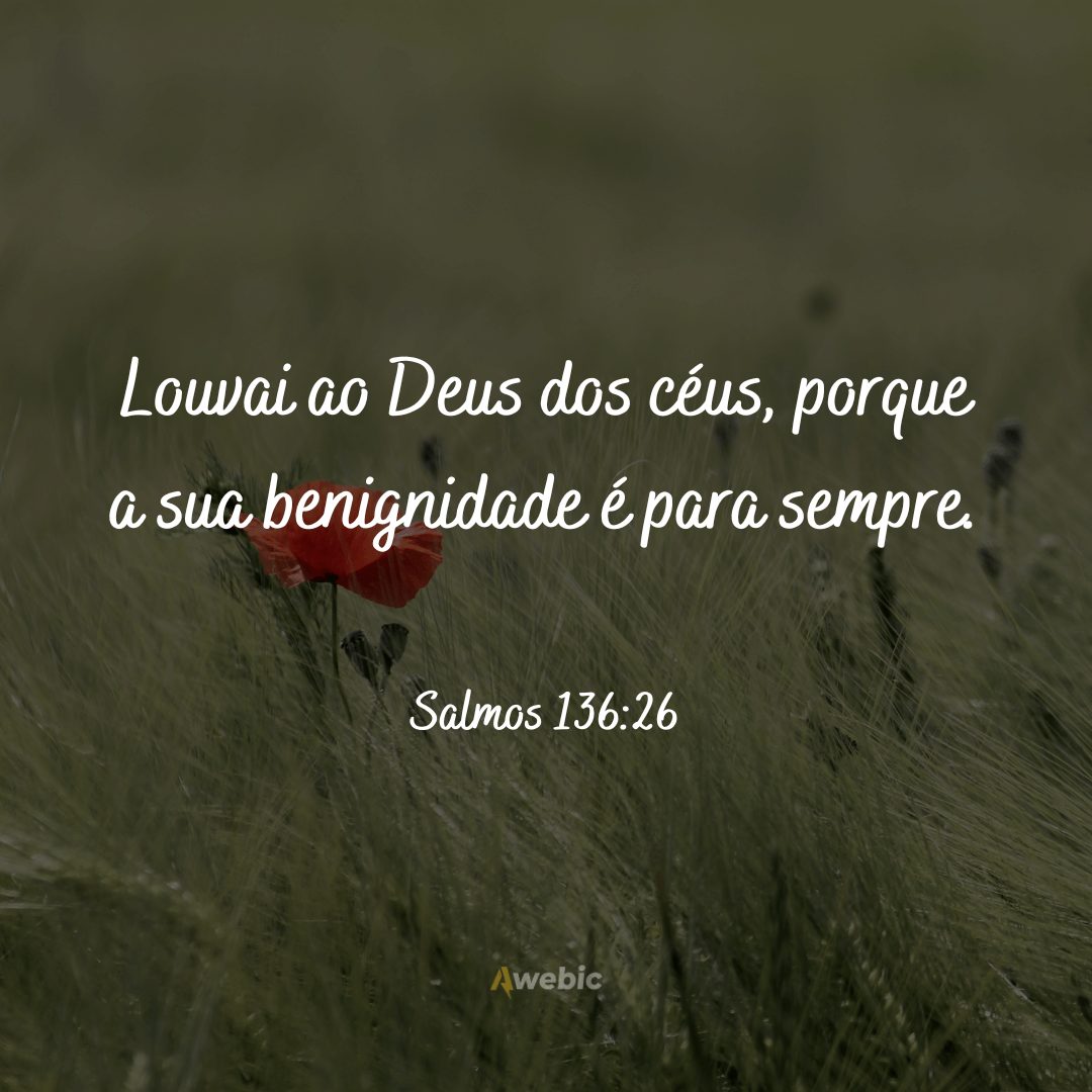 frases-biblicas-para-mandar-no-dia-dos-avos