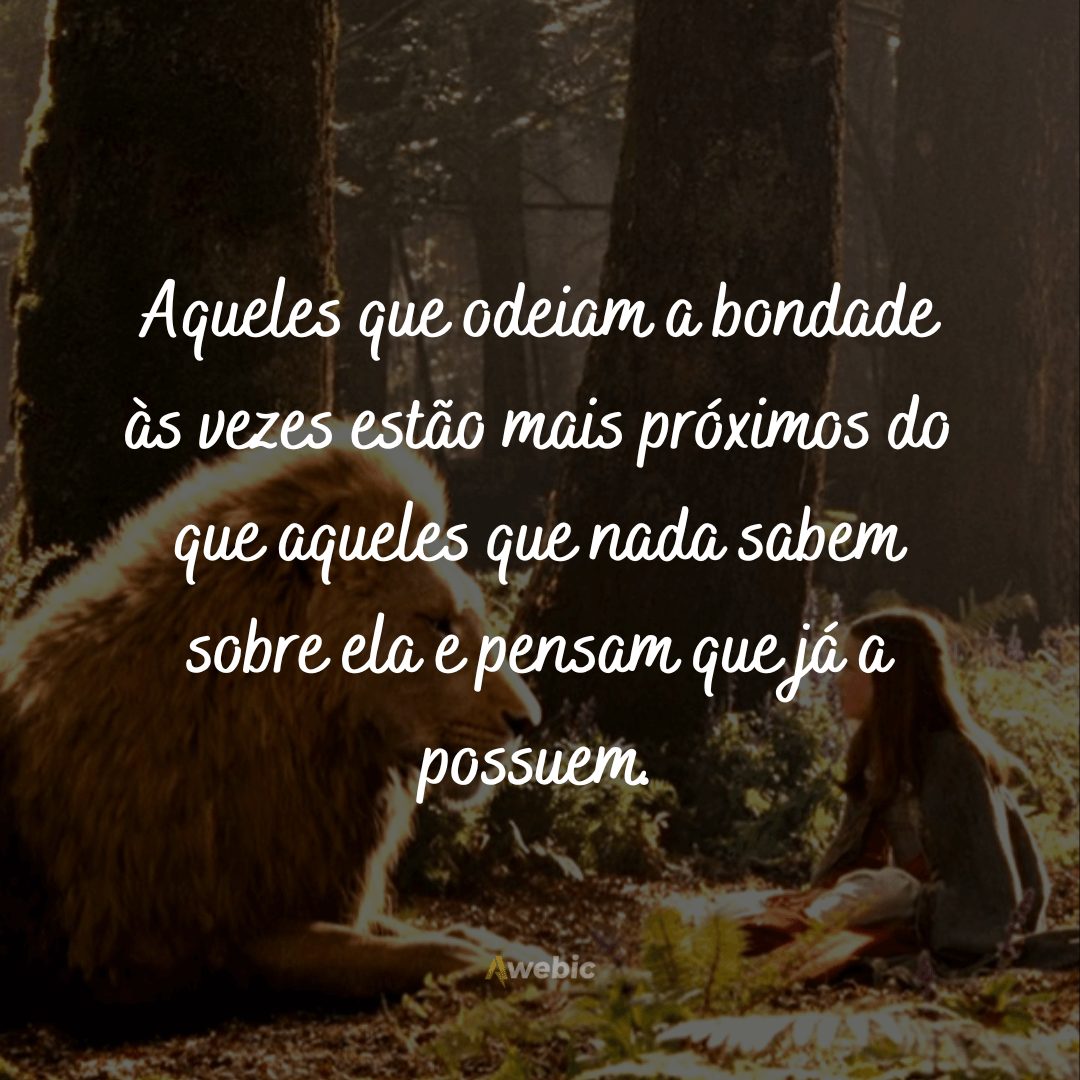 frases-de-as-cronicas-de-narnia-sobre-amizade