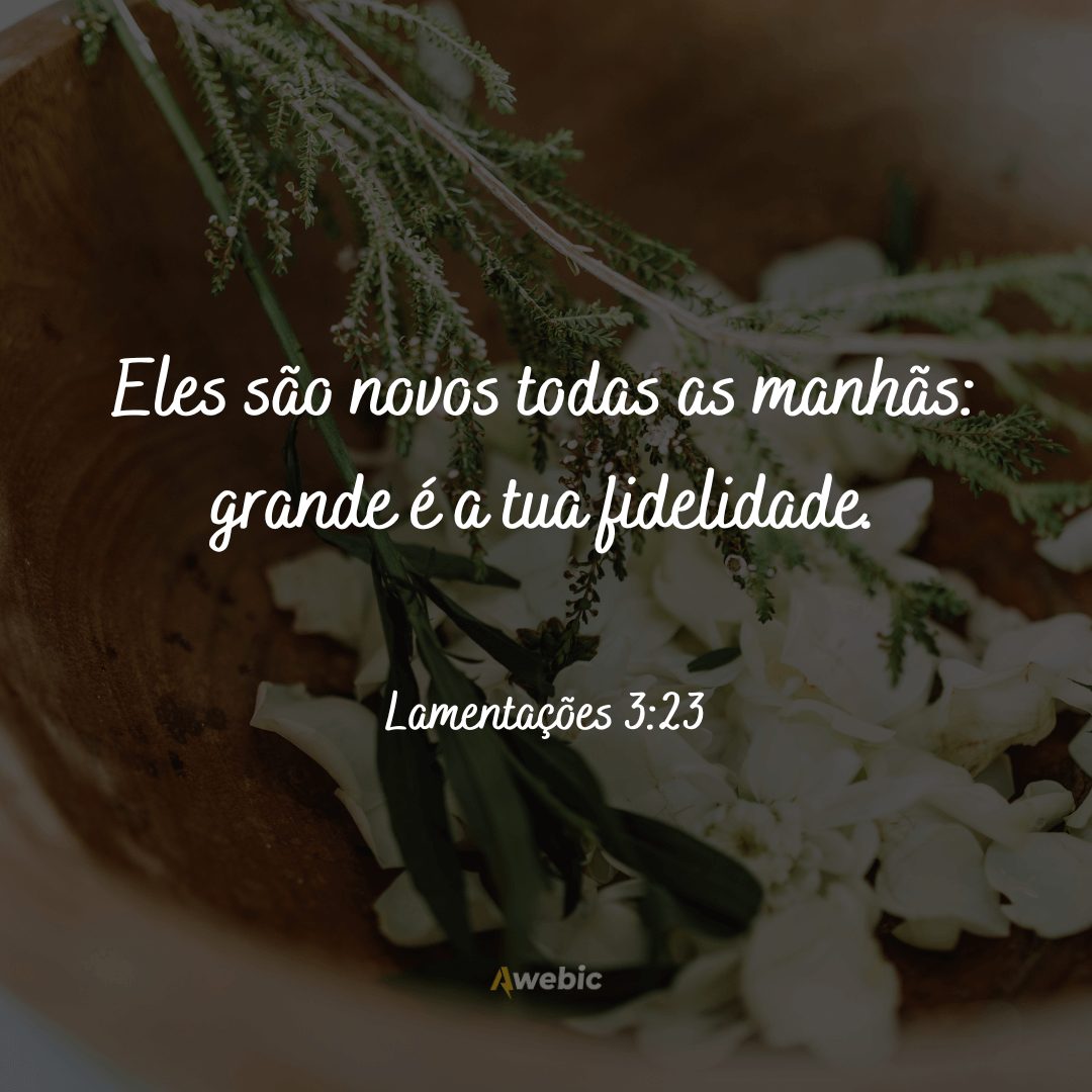 frases-biblicas-de-gratidao