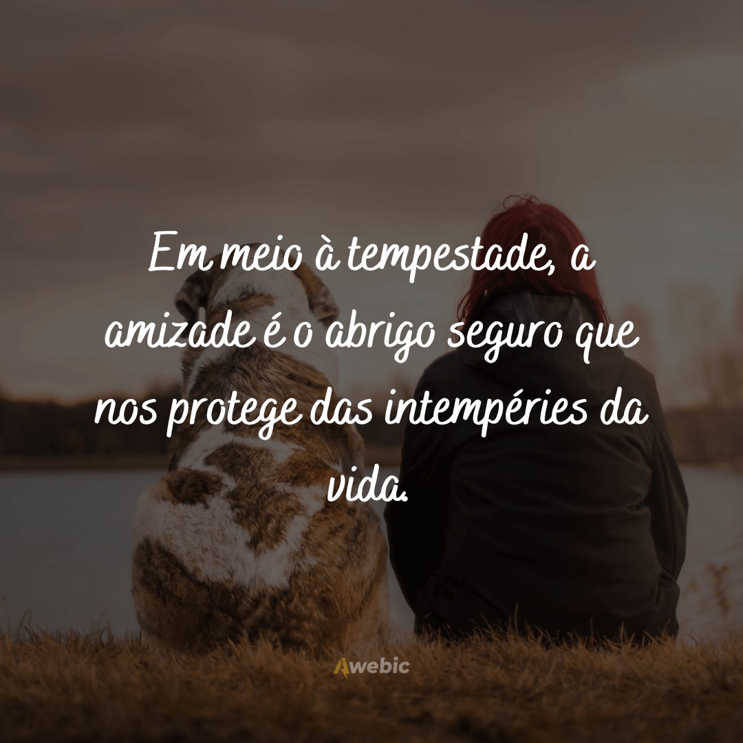 frases-para-o-dia-internacional-da-amizade-so-com-as-mais-lindas-e-sinceras