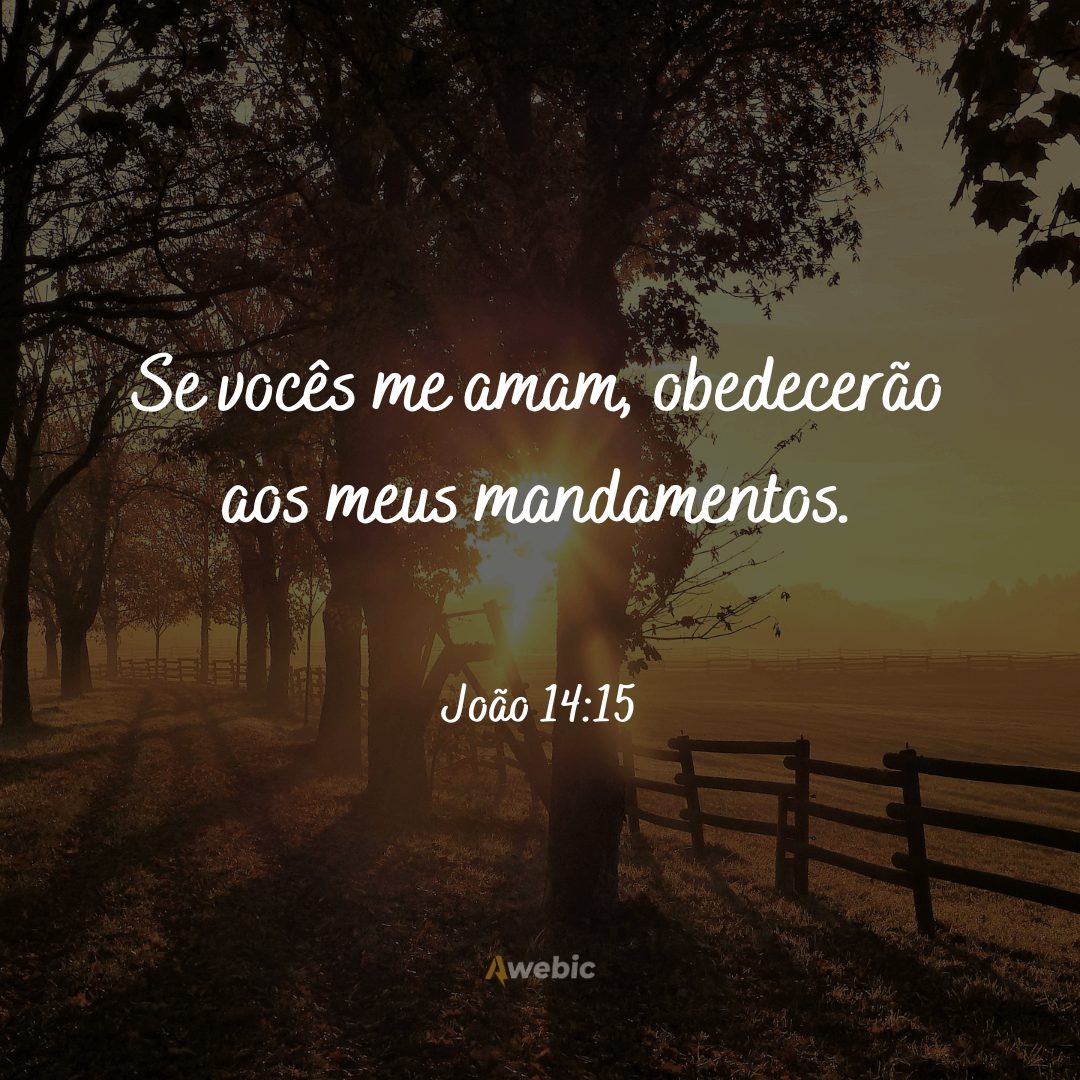 frases-biblicas-para-mandar-no-dia-dos-avos