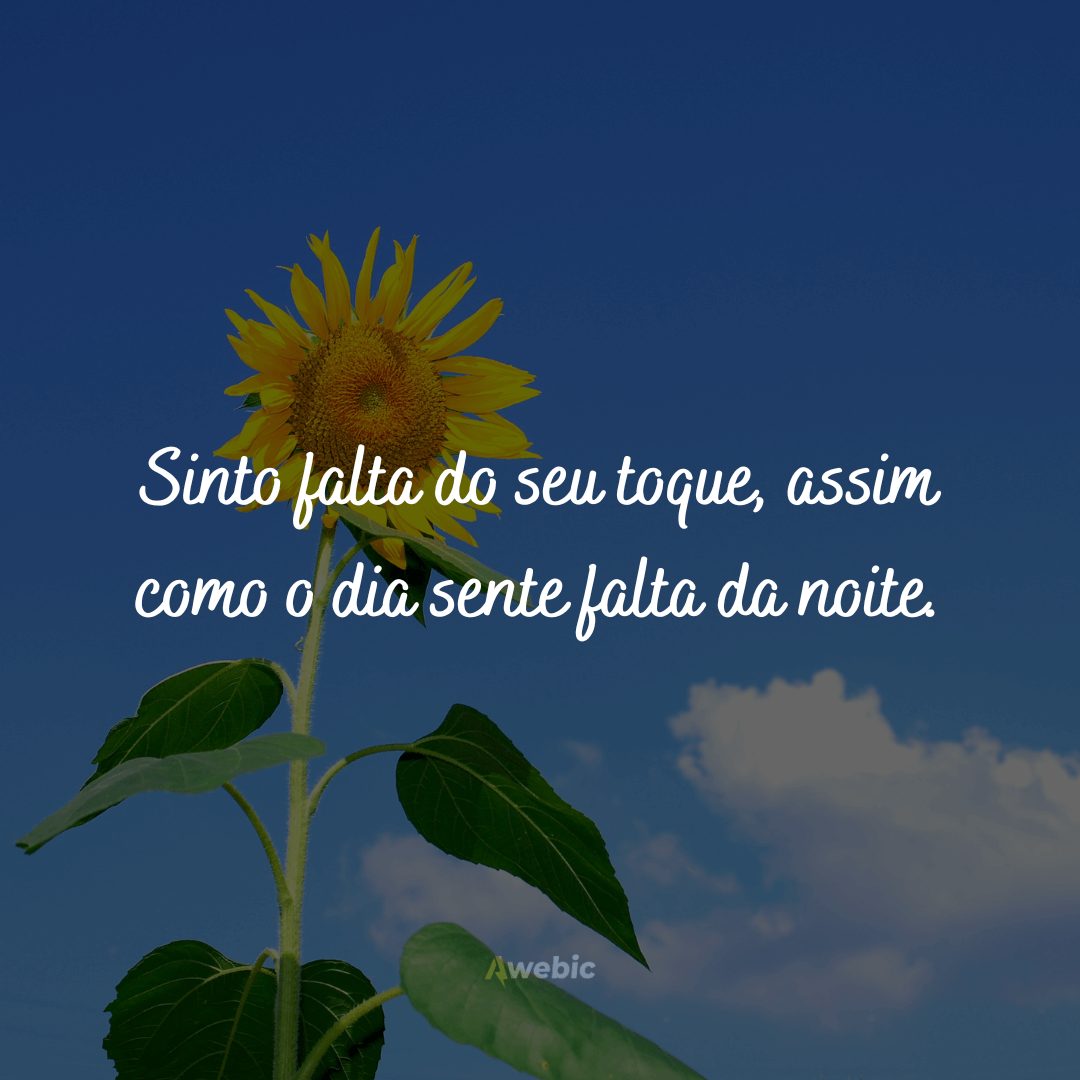 Frases de saudades para status