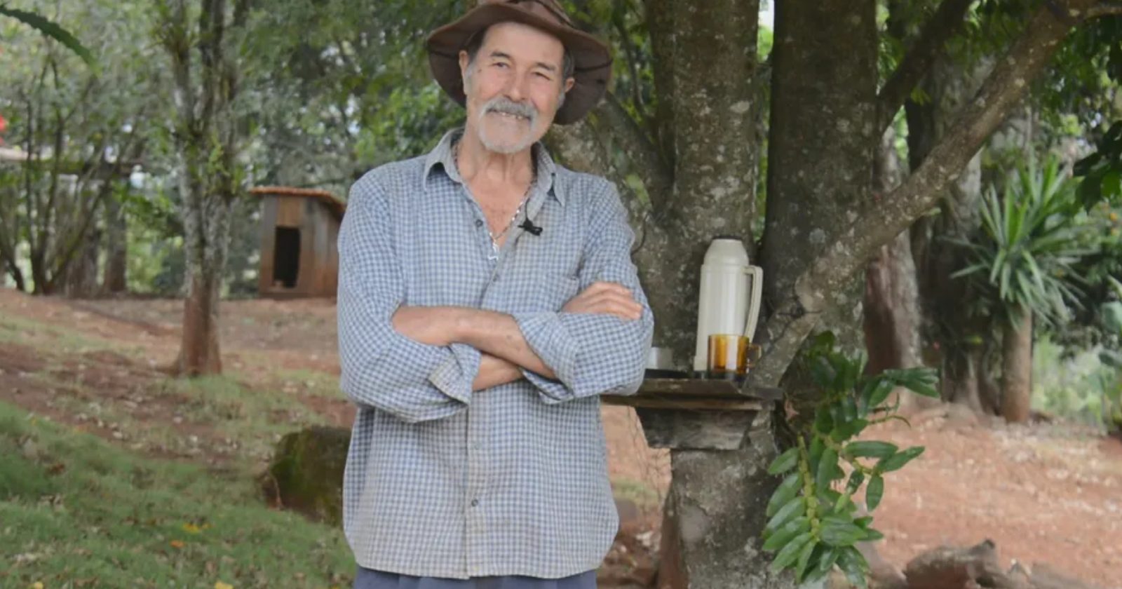 Aposentado monta lindo cantinho do café em árvore para coletores de lixo tirarem ‘uma pausinha’