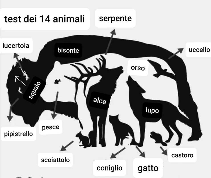 Quantos bichos tem aqui? Ilusão de ótica revela como está sua APTIDÃO