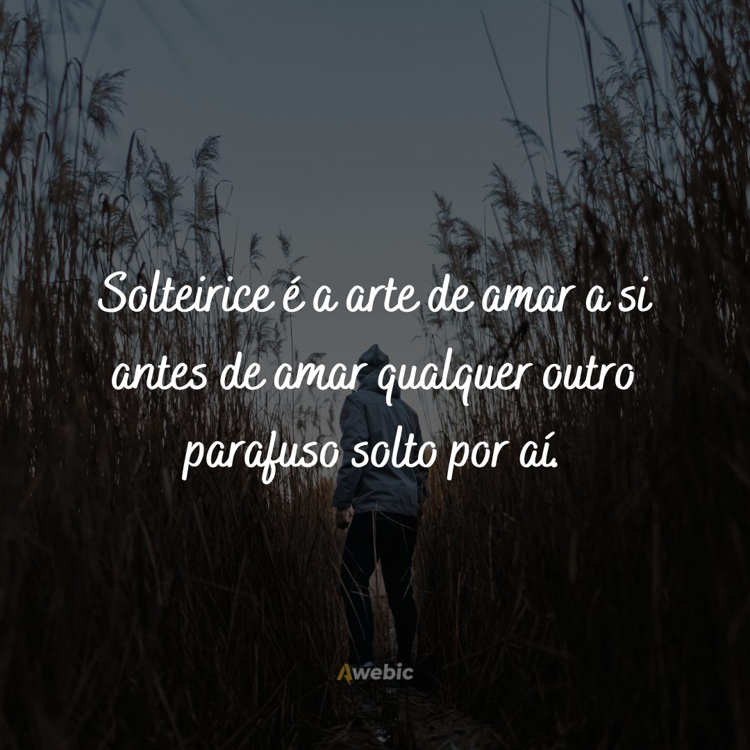 frases-para-celebrar-a-vida-de-solteiro