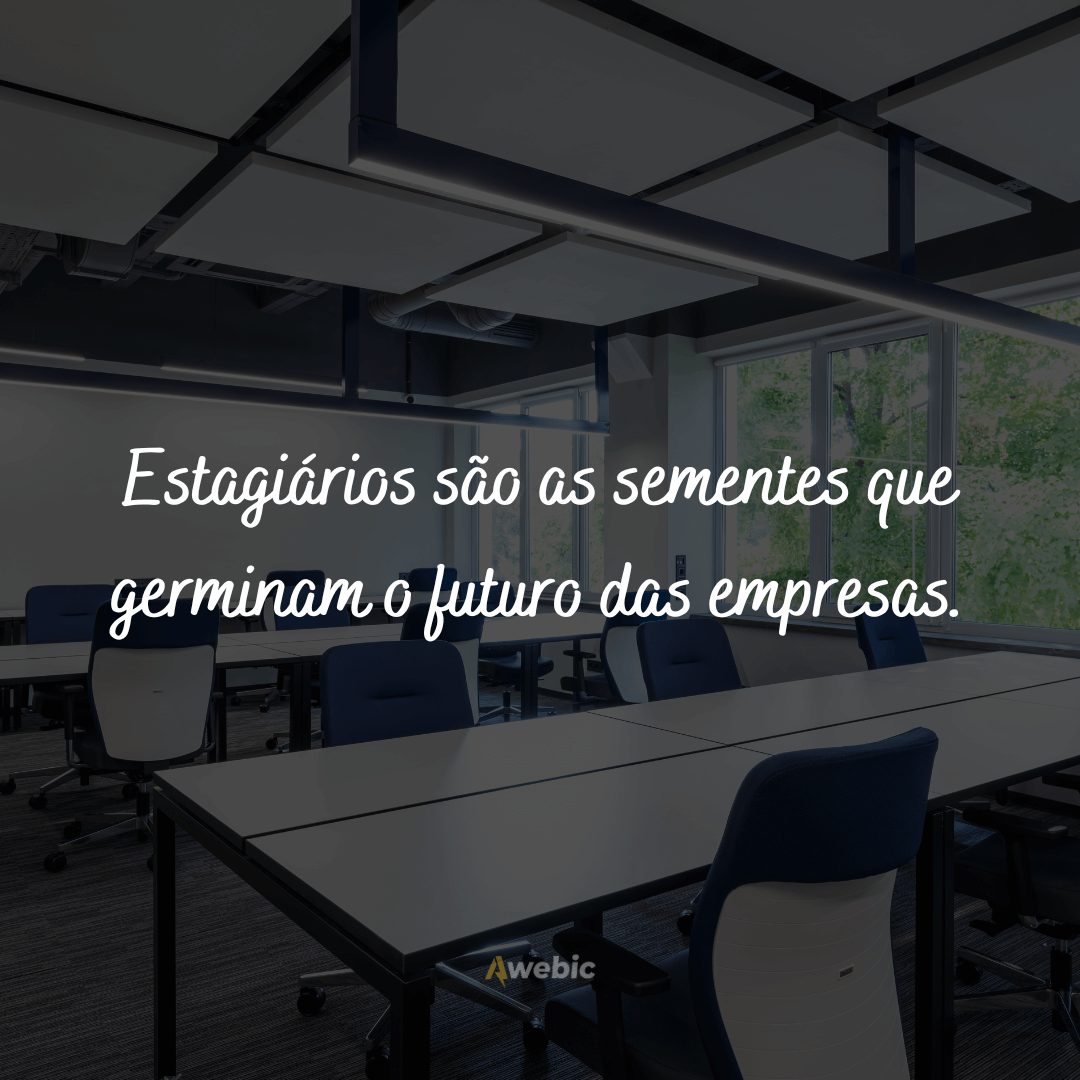 frases-de-dia-do-estagiario-para-empresas