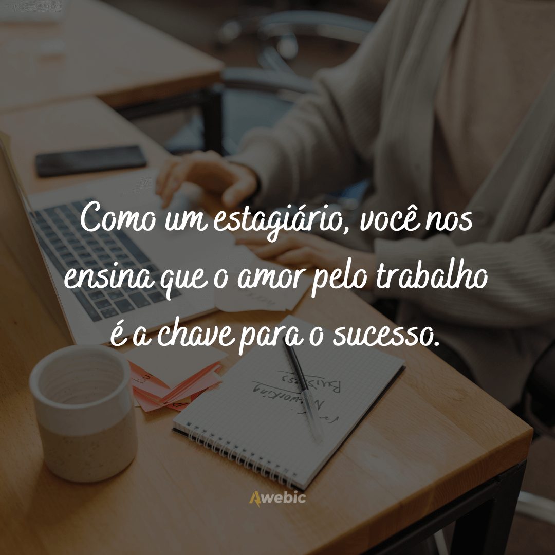 frases-do-dia-do-estagiario