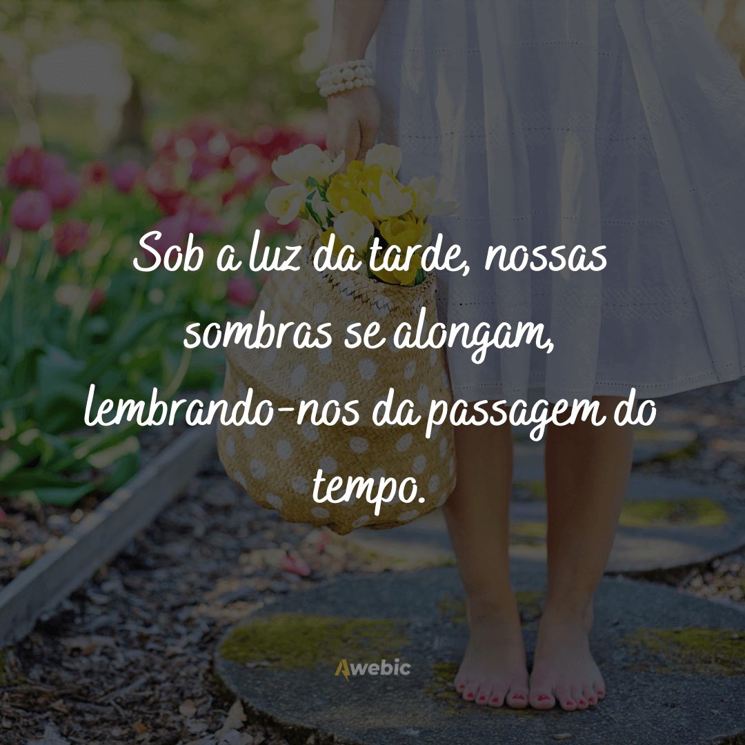 frases-de-boa-tarde-com-reflexao