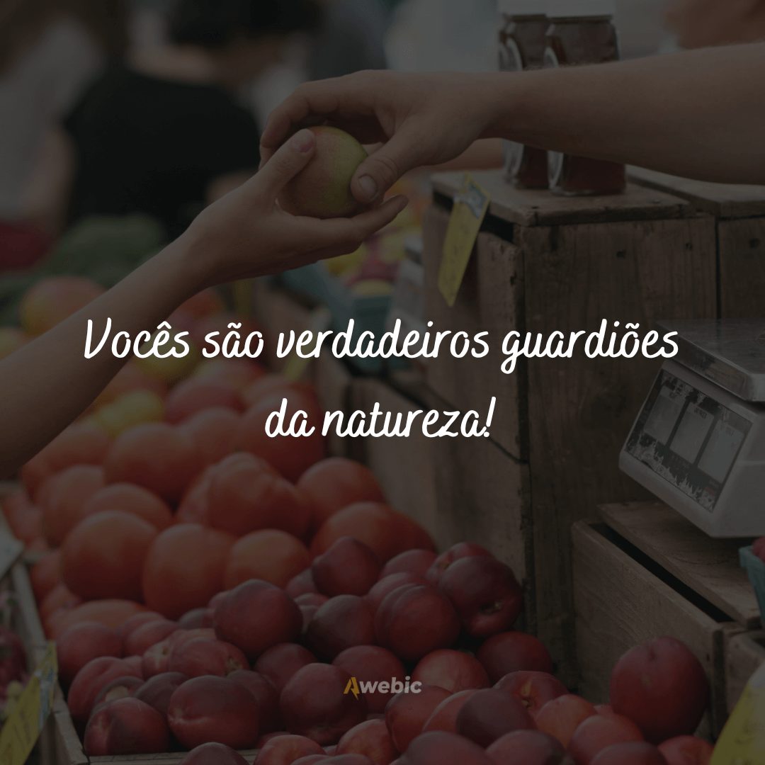 frases-lindas-para-o-dia-do-feirante