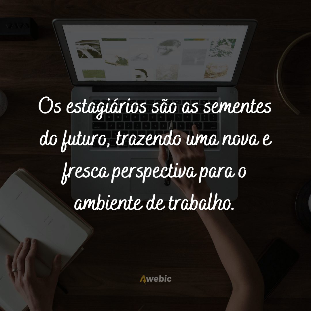 frases-do-dia-do-estagiario