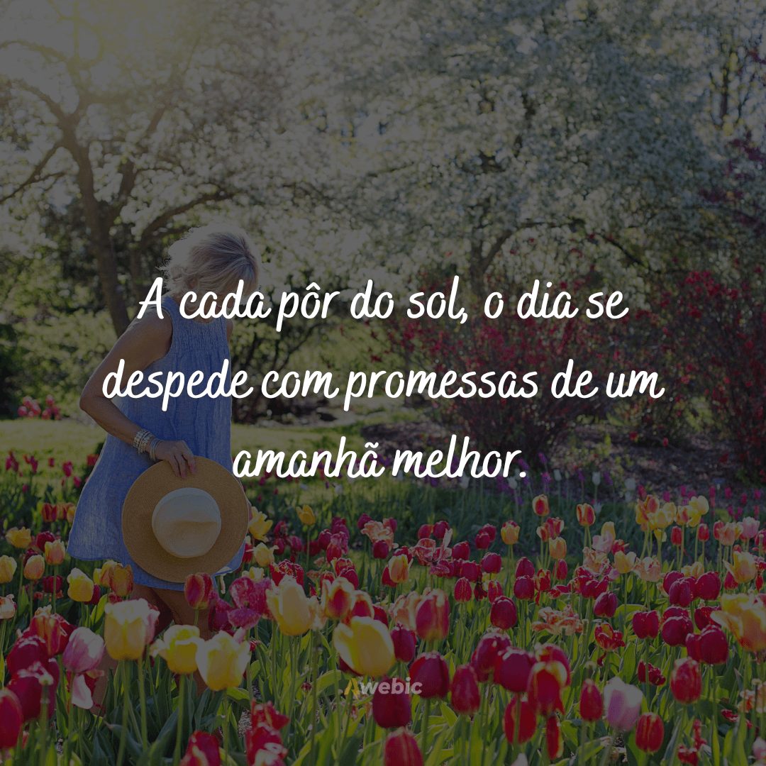 frases-de-boa-tarde-com-reflexao