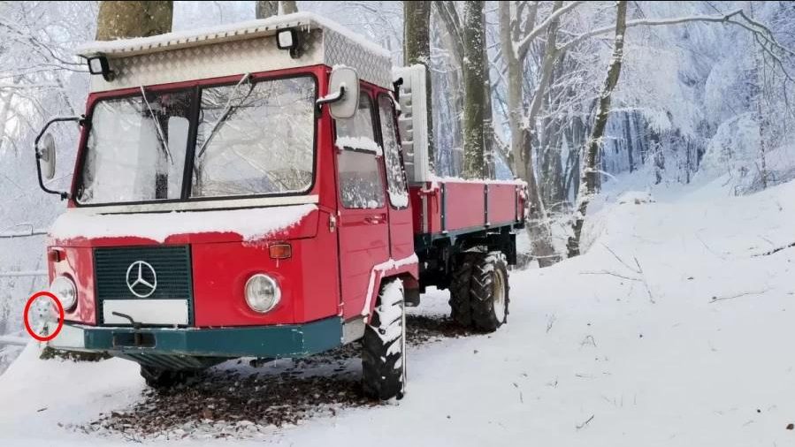 Apenas olhos de águia conseguem captar a raposa da neve! Você pode? (Imagens: Jagram Josh)