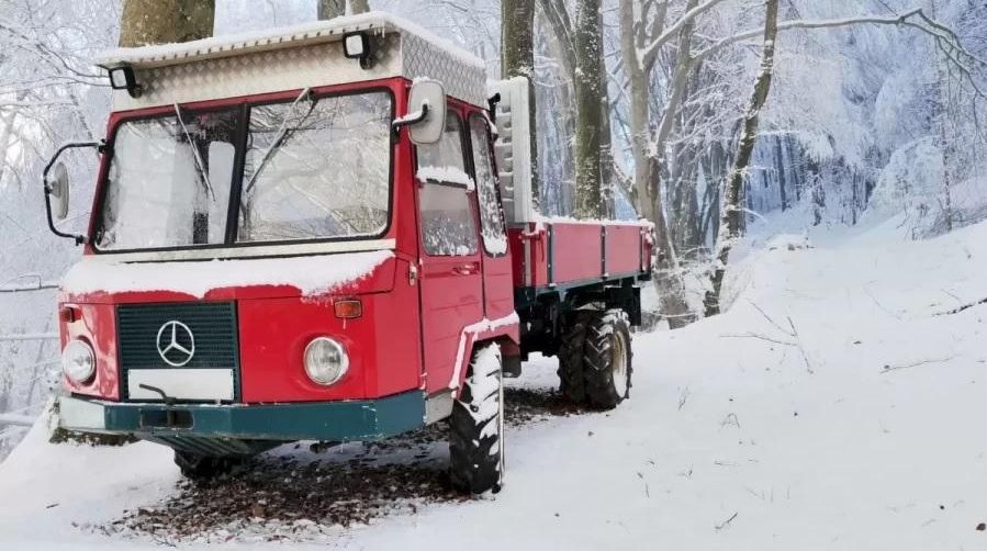 DESAFIO VIRTUAL: Apenas olhos de águia conseguem ver a raposa da neve