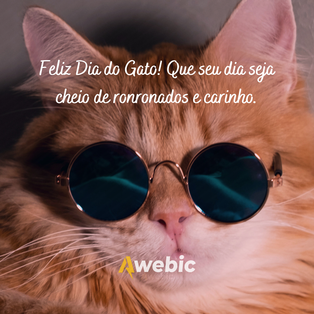 frases-do-dia-internacional-do-gato