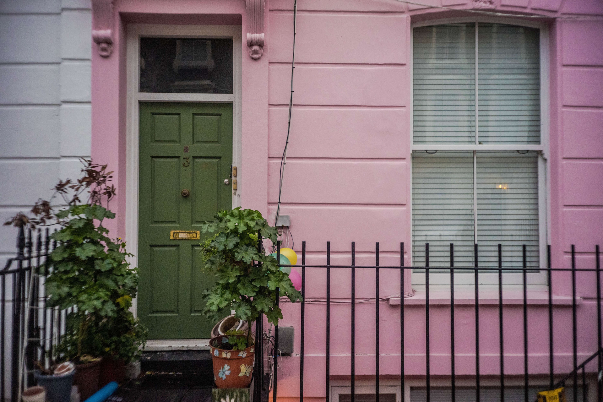 5 plantas para colocar na porta de casa e mandar inveja embora(Imagens: Unsplash)