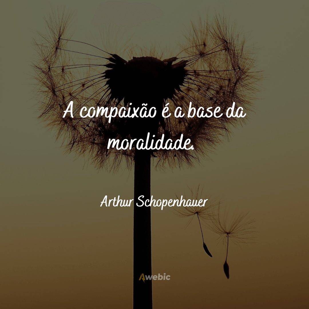 frases-de-arthur-schopenhauer