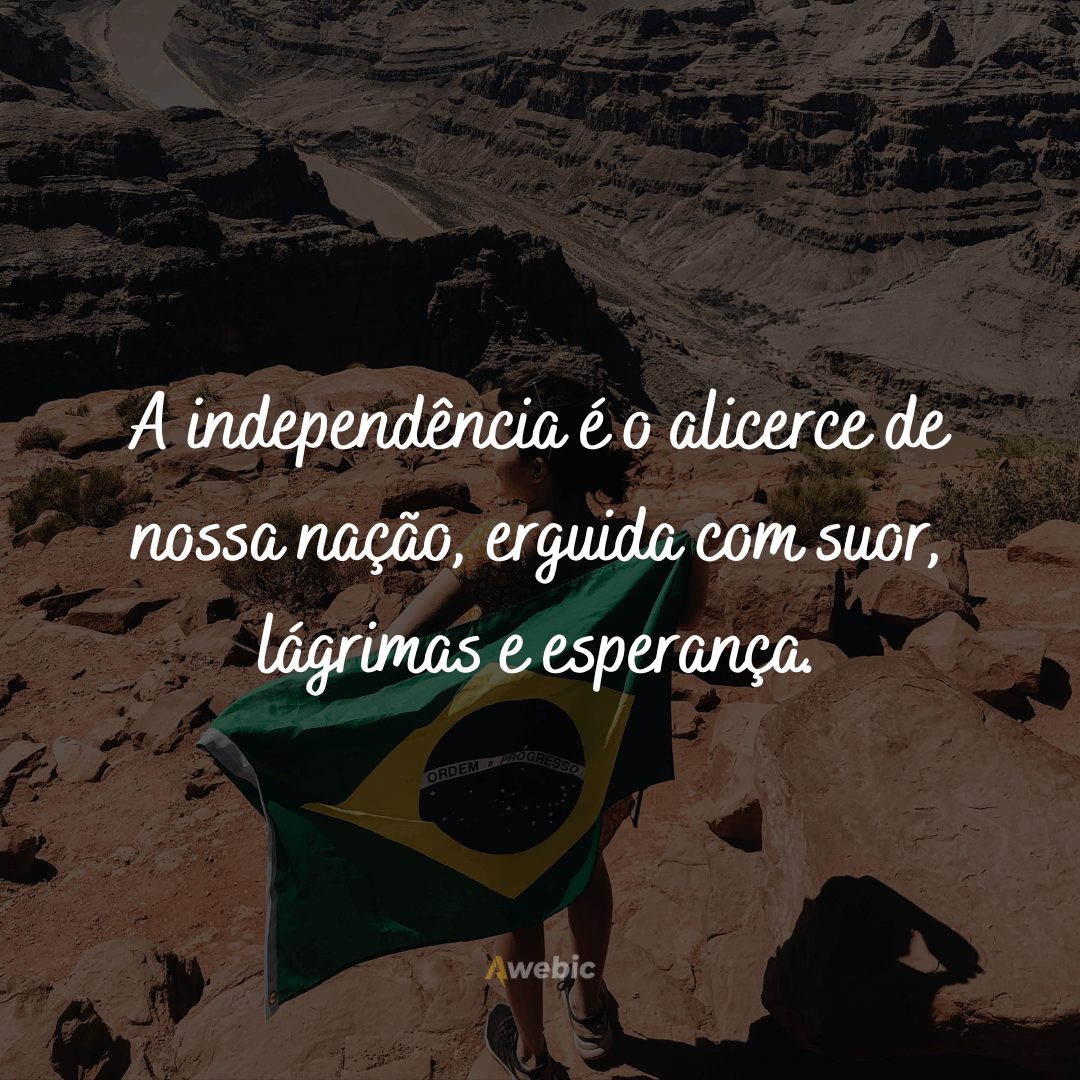 frases-sobre-o-brasil