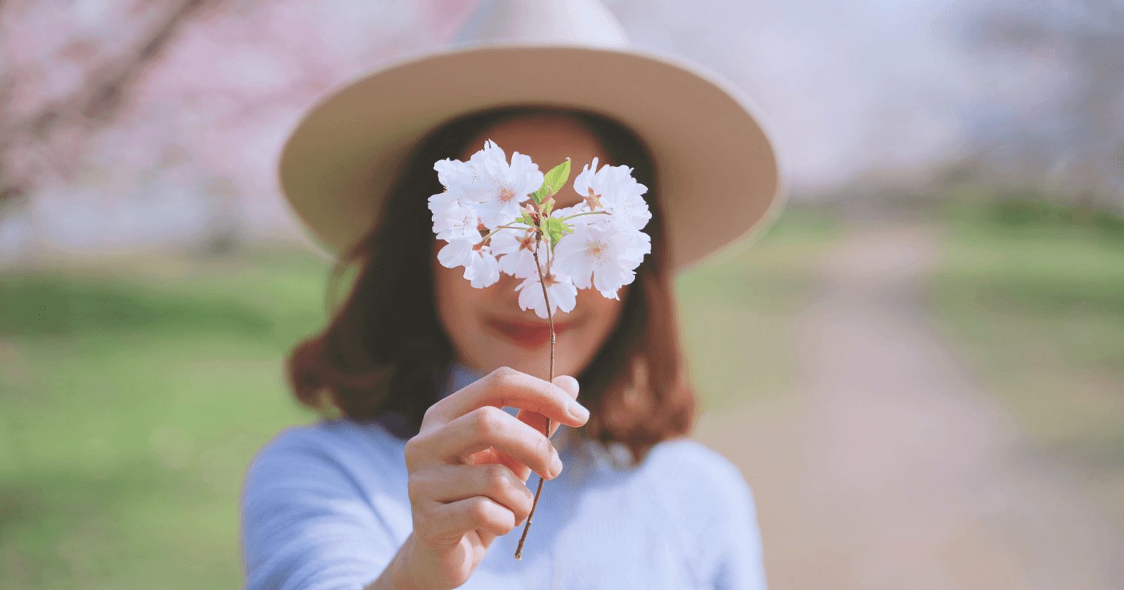 Frases de primavera 2024: mensagens lindas para celebrar a estação