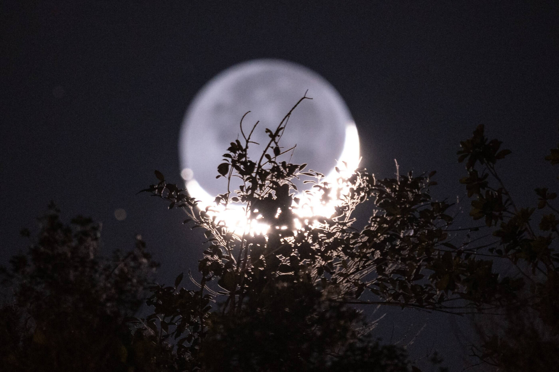 Poemas lindos sobre a lua: só românticos vão entender