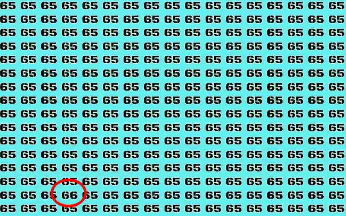Desafio numérico: você tem 5 segundos para encontrar o número 66 (Imagens: Youtube)
