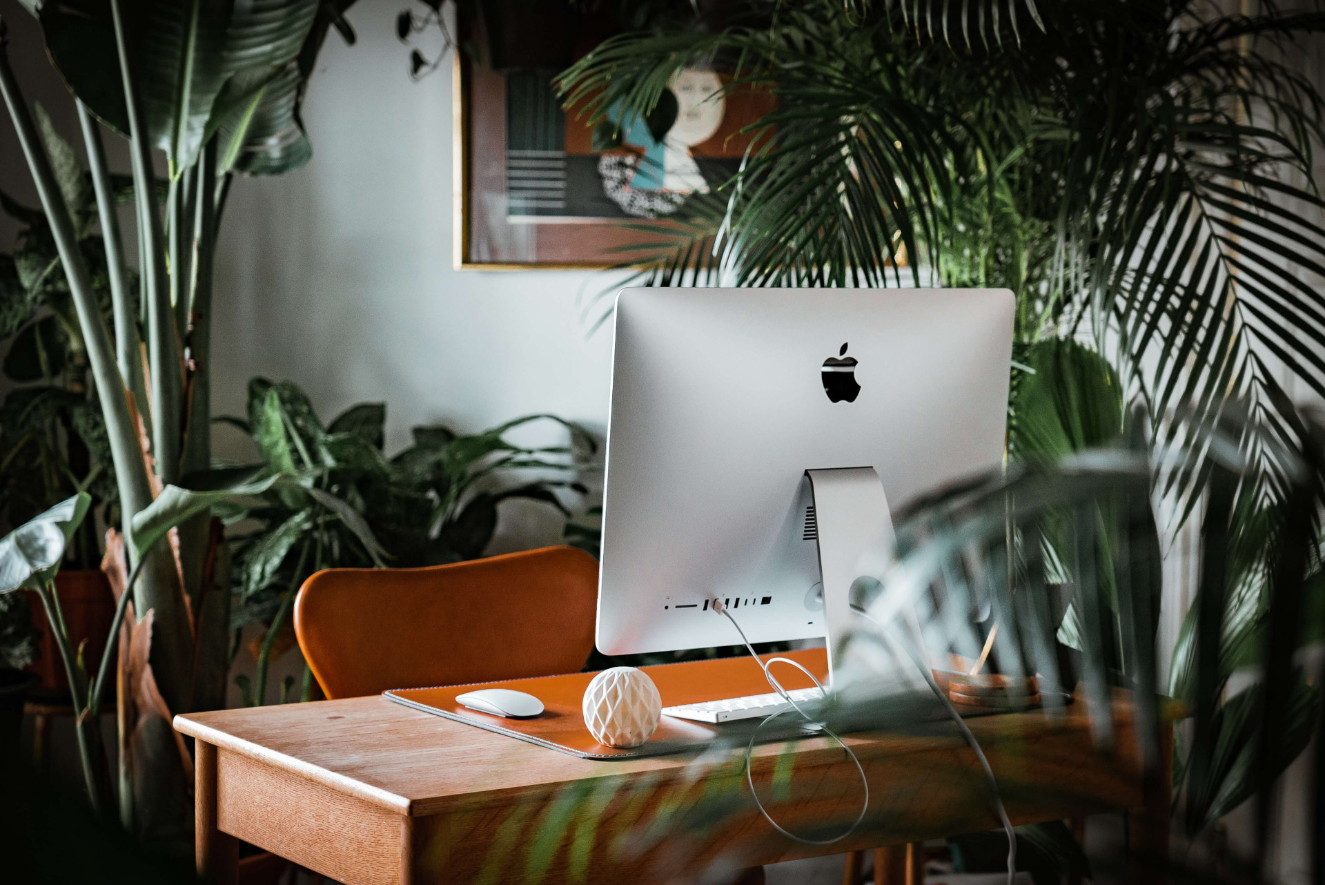 9 plantas para ter na mesa do escritório e ajudar no desempenho