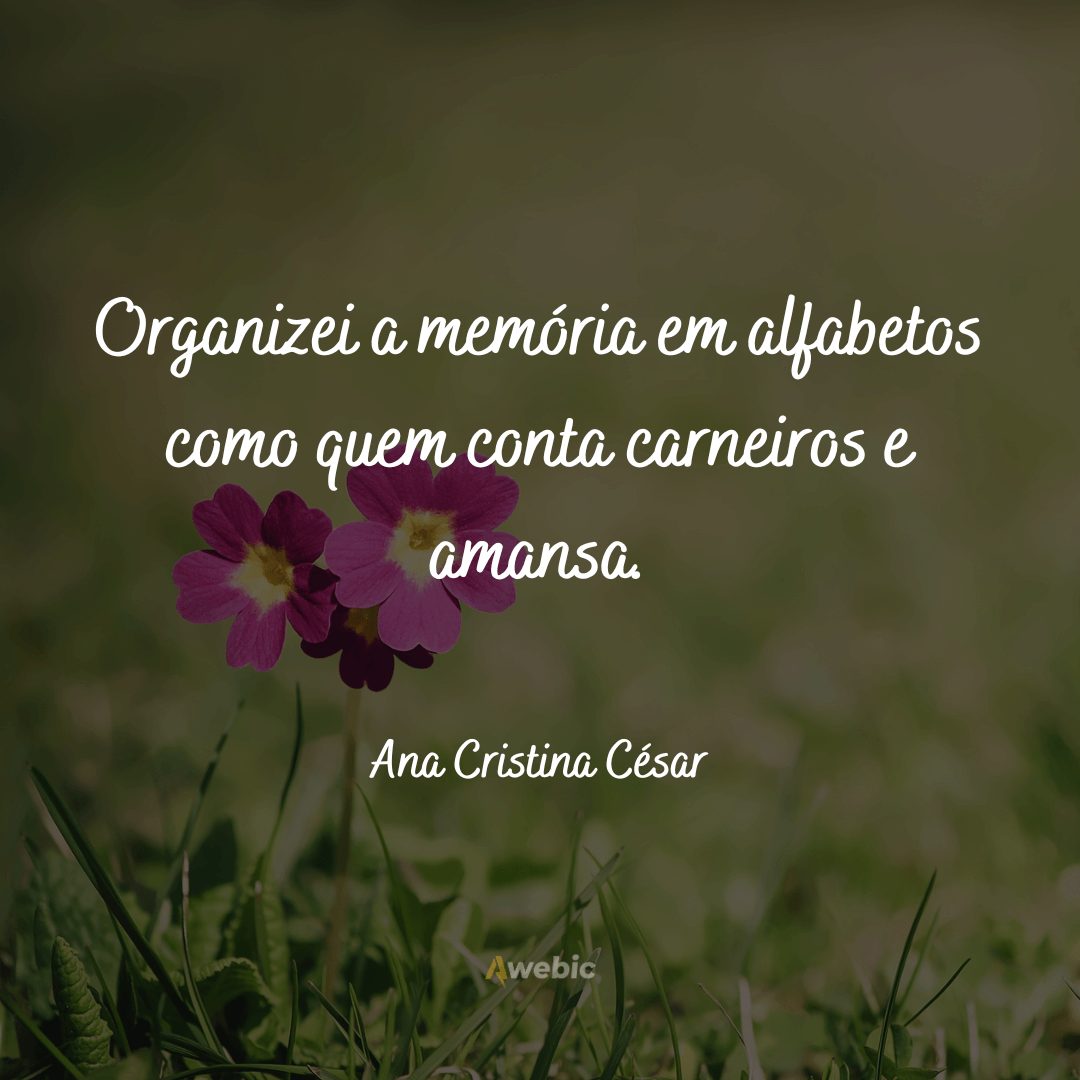 frases-de-ana-cristina-cesar