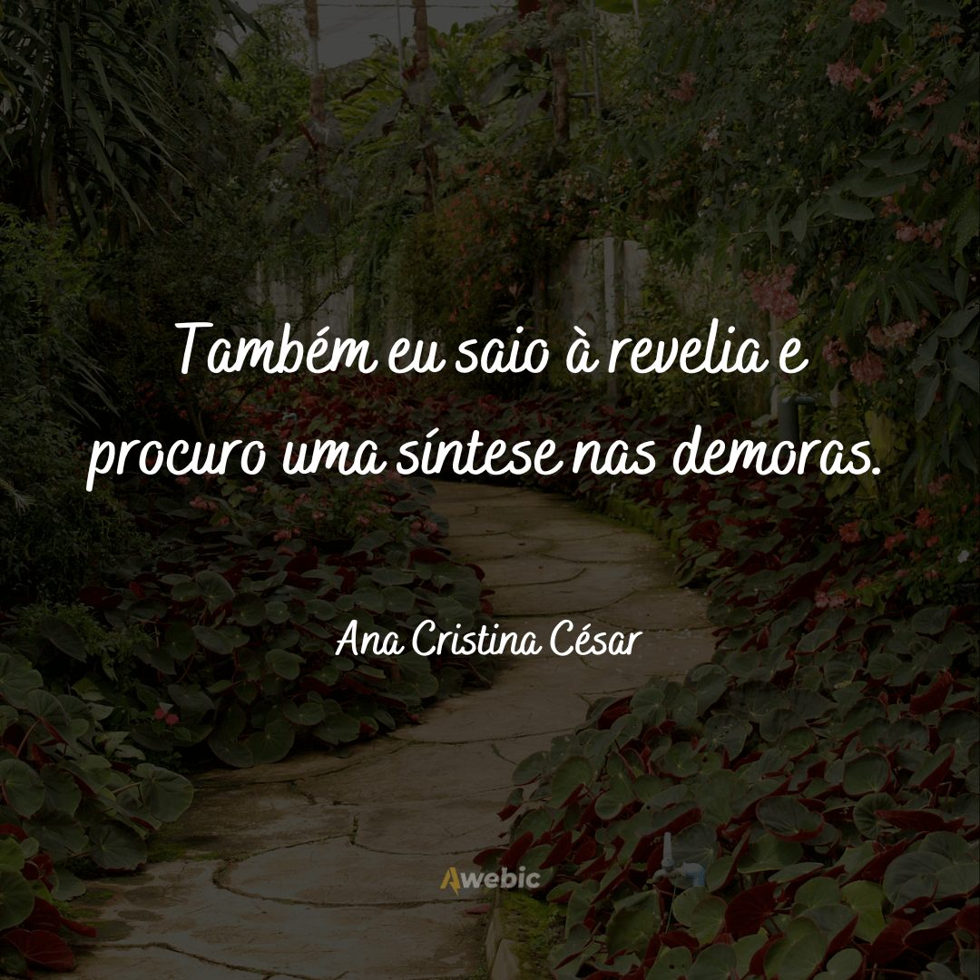 frases-de-ana-cristina-cesar