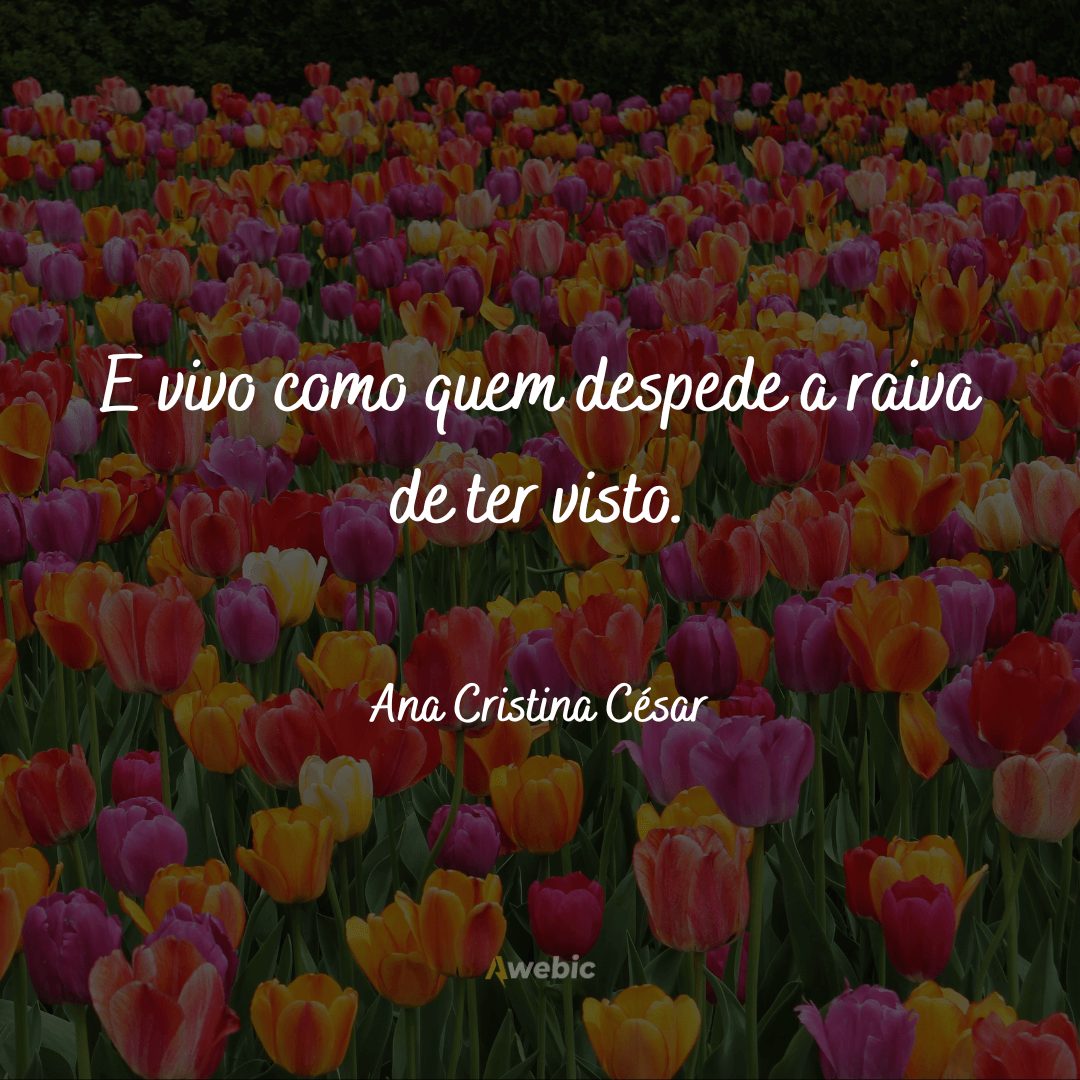 frases-de-ana-cristina-cesar