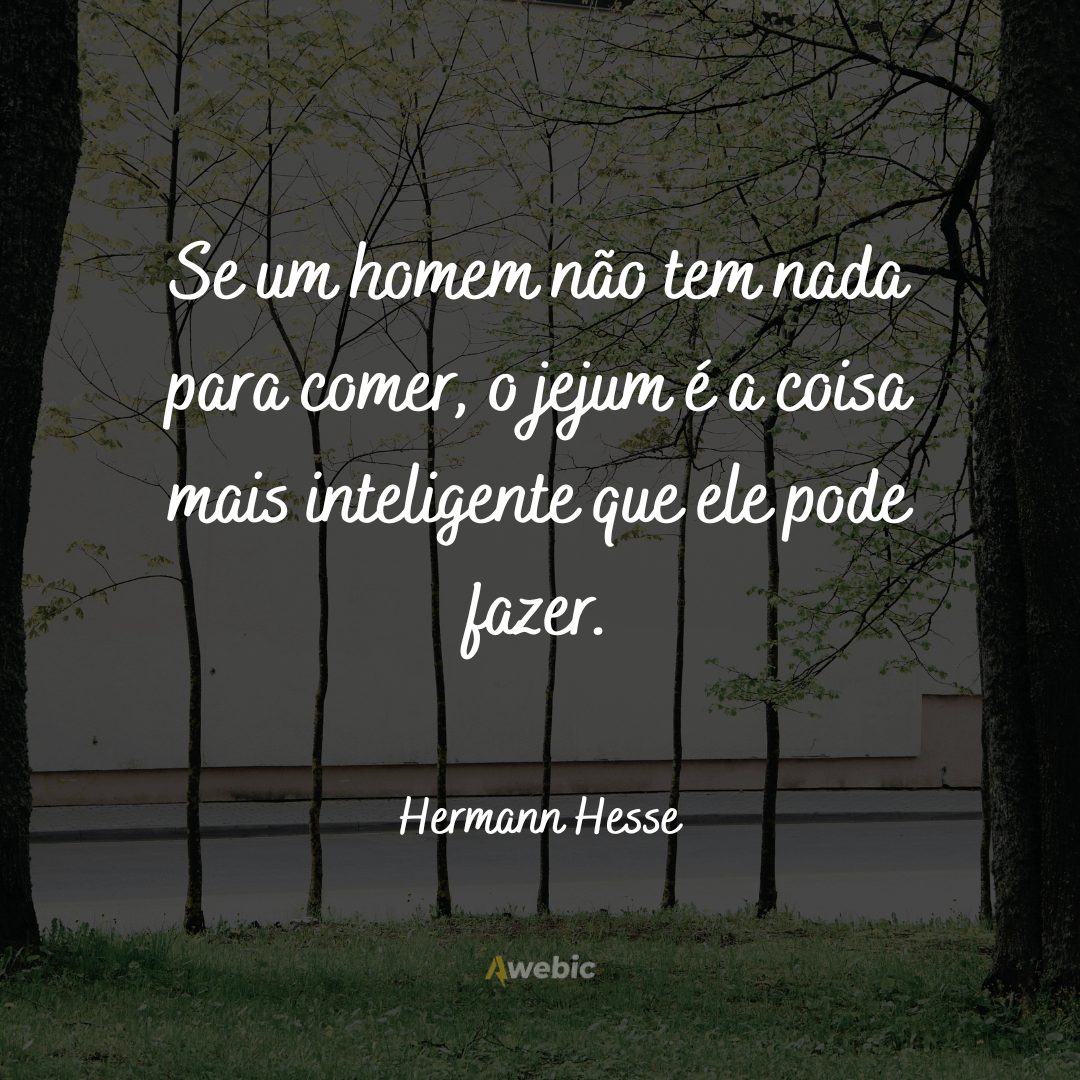 frases-de-hermann-hesse