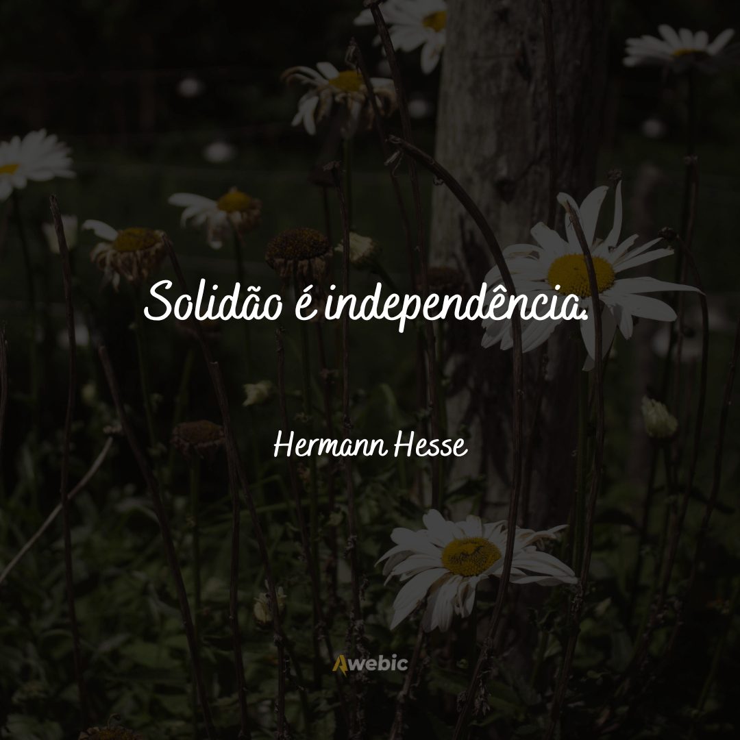 frases-de-hermann-hesse