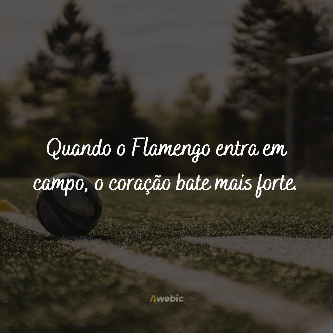 frases-do-flamengo