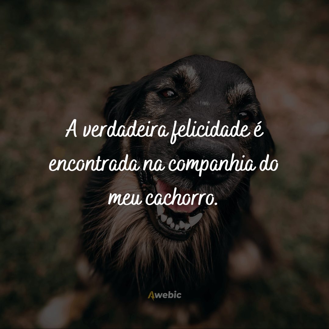 frases-para-o-dia-do-cachorro