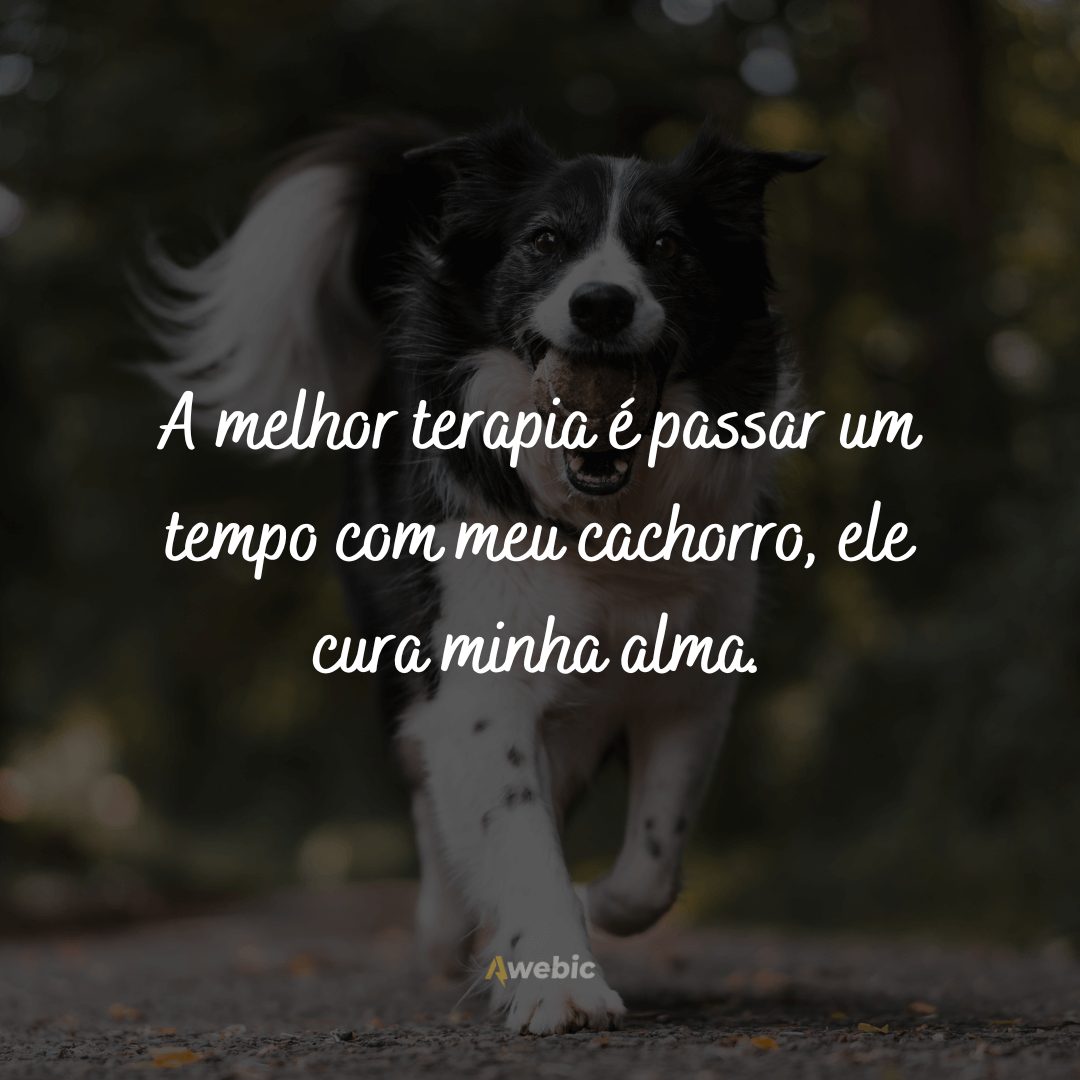 frases-para-o-dia-do-cachorro