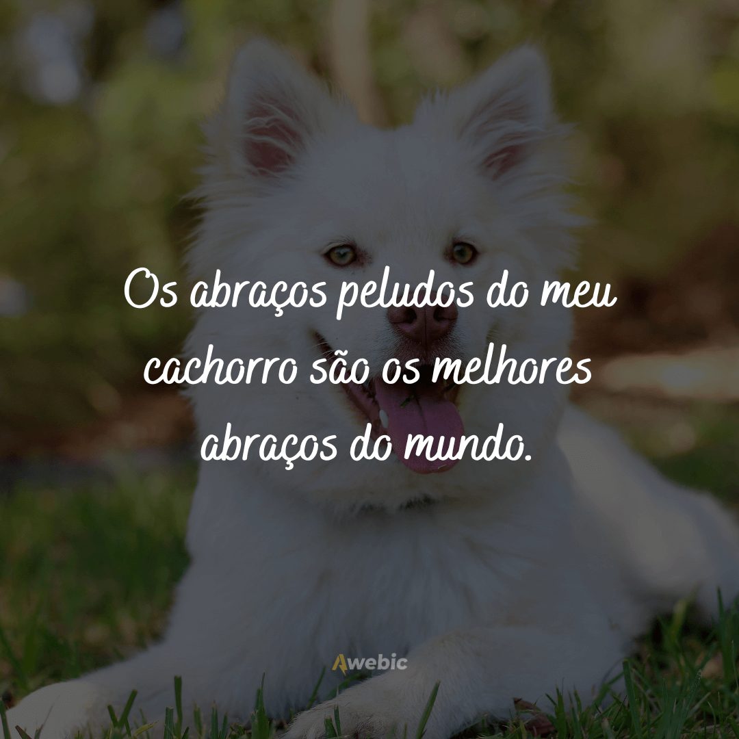 frases-para-o-dia-do-cachorro