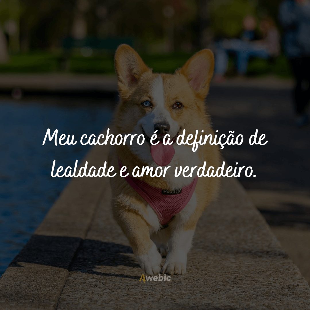 frases-para-o-dia-do-cachorro