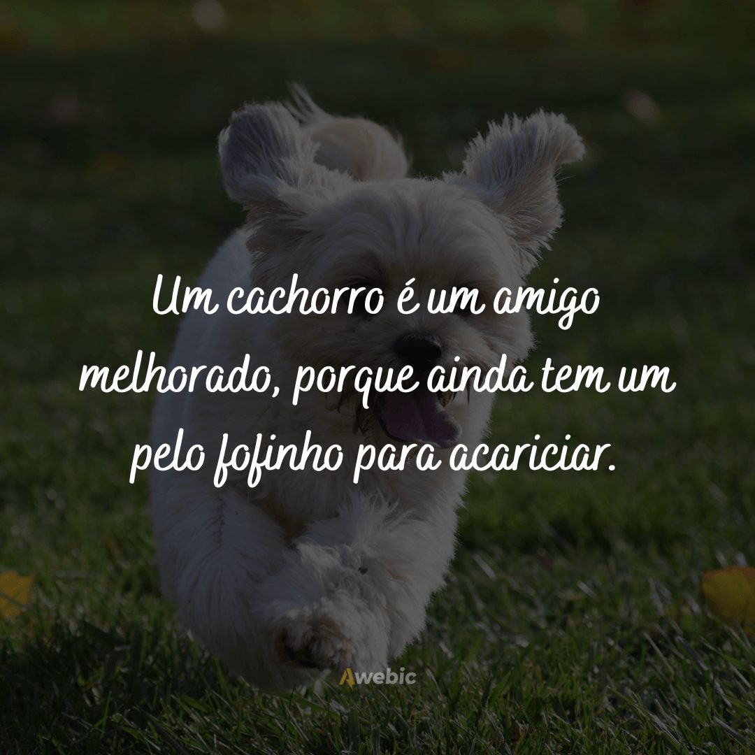 frases-para-o-dia-do-cachorro